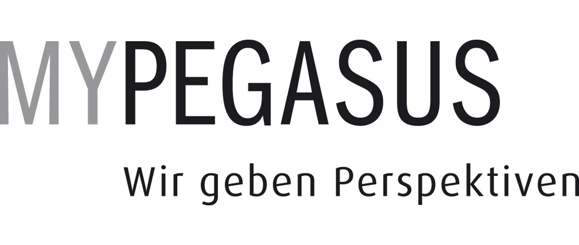 MyPegasus_MY(50%k)